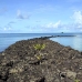resort_pacific_palau_v_0119_pal1187.jpg